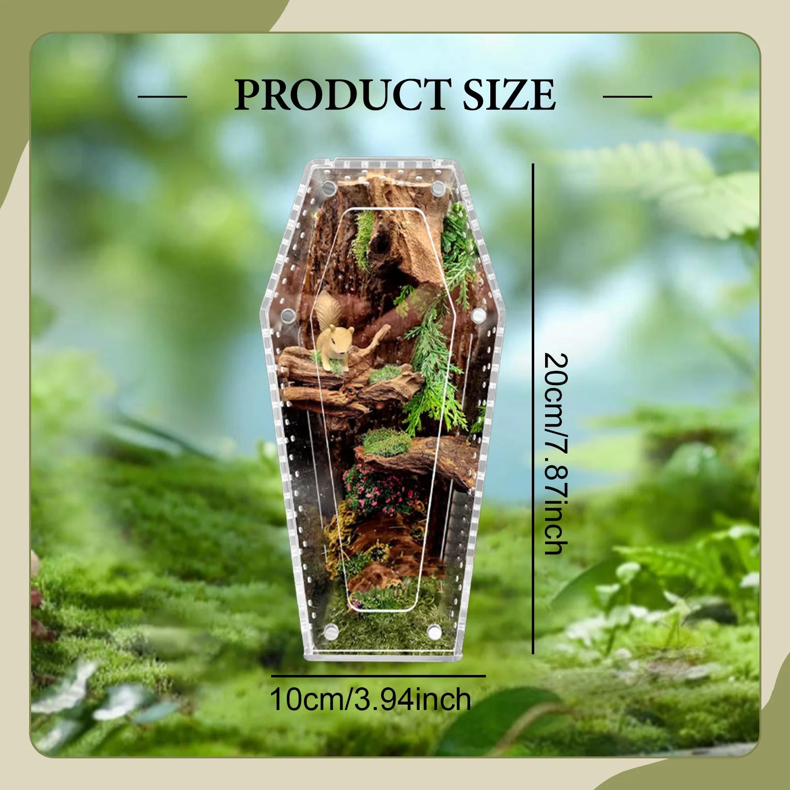 Transparent acrylic spider cage with ventilation Reptile pet insect amphibian habitat breeding box