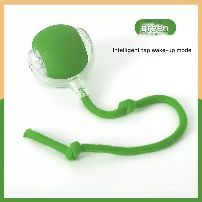 Pet toy ball, a great way to amuse cats and dogs, a pet supply for cats and dogs, a fun way to relieve boredom.