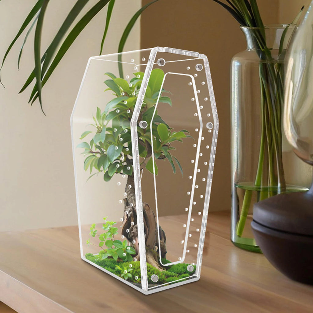 Transparent acrylic spider cage with ventilation Reptile pet insect amphibian habitat breeding box