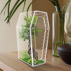 Transparent acrylic spider cage with ventilation Reptile pet insect amphibian habitat breeding box