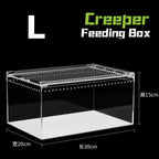 Transparent acrylic spider cage with ventilation Reptile pet insect amphibian habitat breeding box