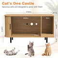 Sliding-Door Wooden Cat Litter Box End Table with Drawer