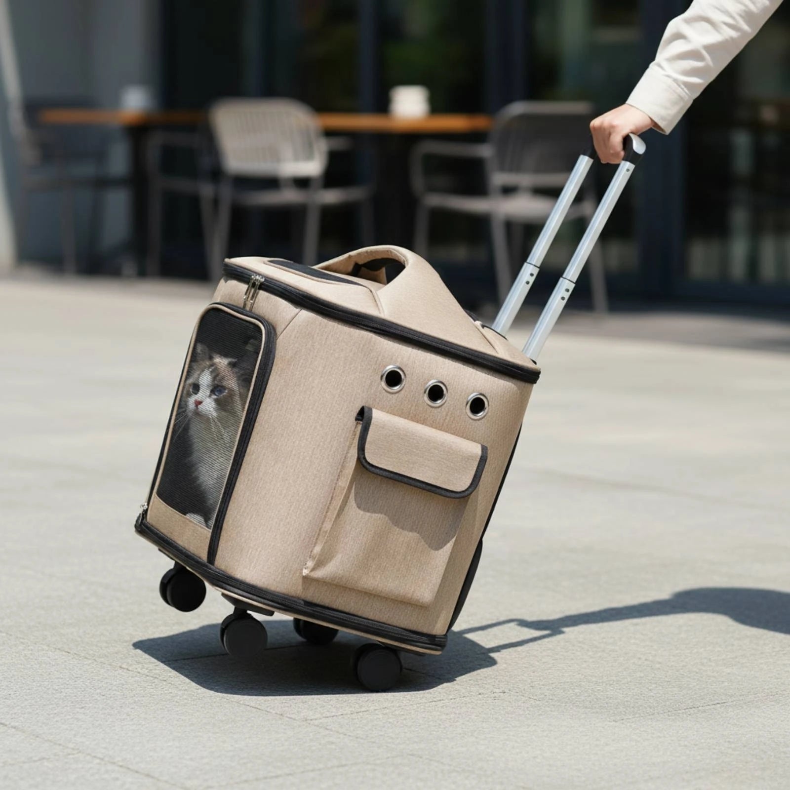 Rolling Pet Carrier Quiet Wheels Feline Carrier Suitcase Feline Travel Bag Trolley Handle Multiple Carrying Options for Outdoor
