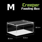 Transparent acrylic spider cage with ventilation Reptile pet insect amphibian habitat breeding box