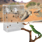 Wall Mounted Acrylic Reptile Feeder Transparent Feeding Box with Suction Cups for Gecko Lizard Bearded Dragon Feeding Supplies
