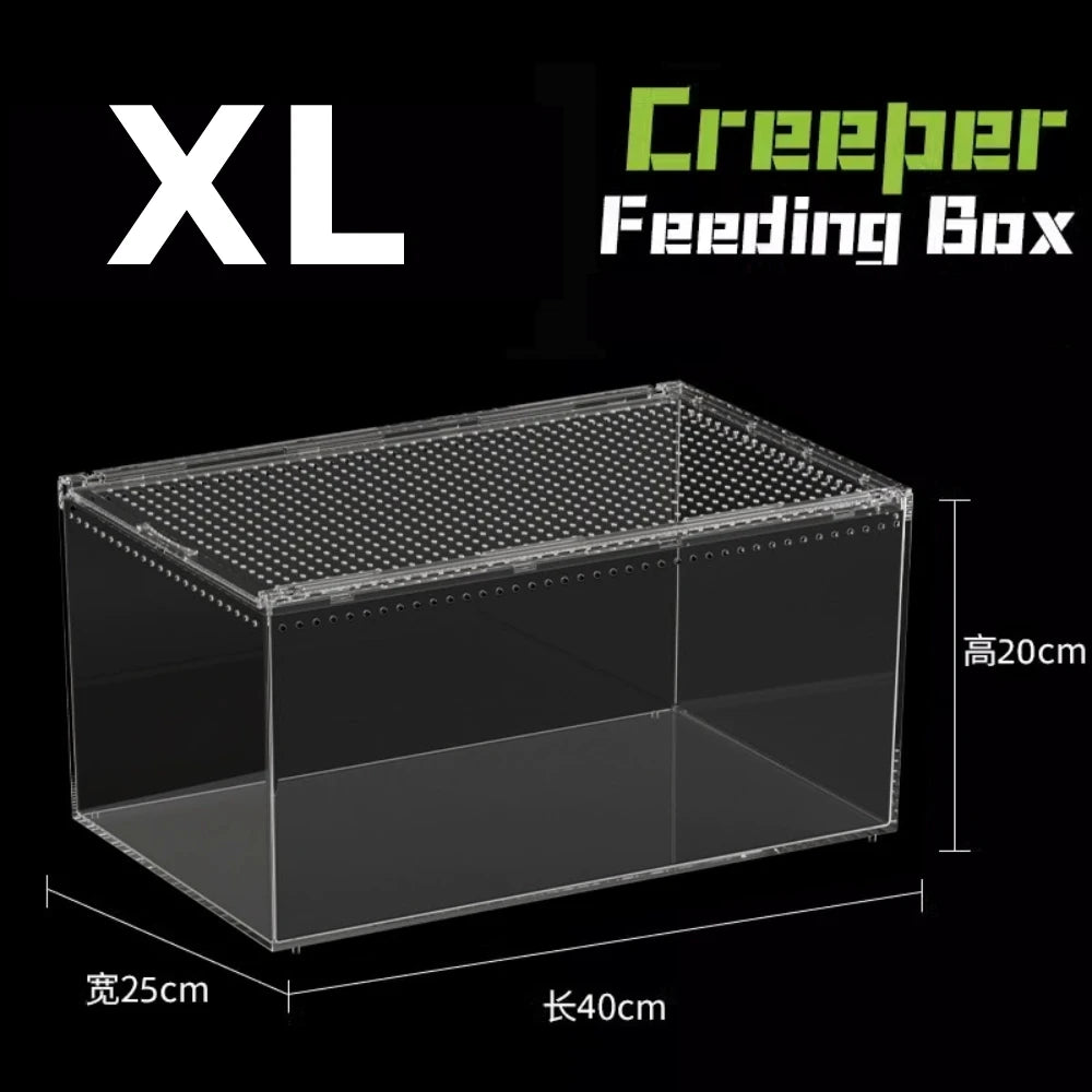 Transparent acrylic spider cage with ventilation Reptile pet insect amphibian habitat breeding box