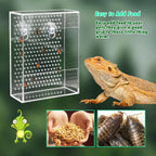 Wall Mounted Acrylic Reptile Feeder Transparent Feeding Box with Suction Cups for Gecko Lizard Bearded Dragon Feeding Supplies