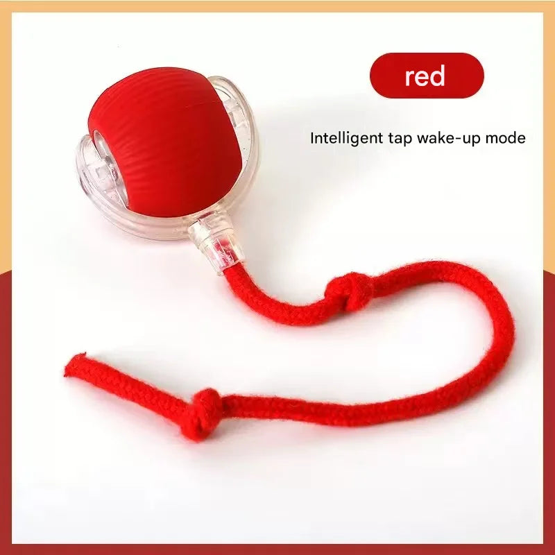 Pet toy ball, a great way to amuse cats and dogs, a pet supply for cats and dogs, a fun way to relieve boredom.