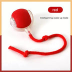 Pet toy ball, a great way to amuse cats and dogs, a pet supply for cats and dogs, a fun way to relieve boredom.