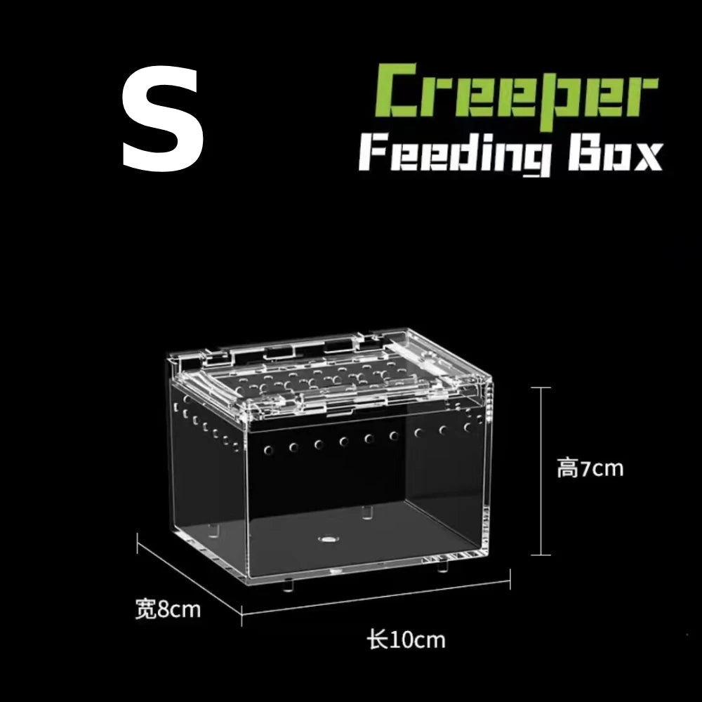Transparent acrylic spider cage with ventilation Reptile pet insect amphibian habitat breeding box