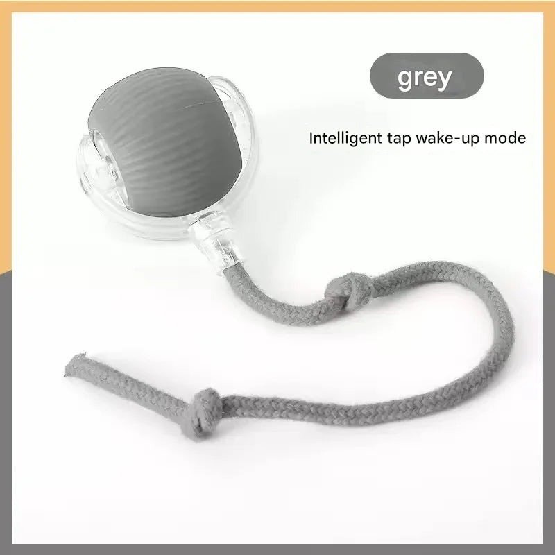 Pet toy ball, a great way to amuse cats and dogs, a pet supply for cats and dogs, a fun way to relieve boredom.
