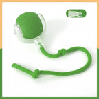 Pet toy ball, a great way to amuse cats and dogs, a pet supply for cats and dogs, a fun way to relieve boredom.