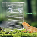 Wall Mounted Acrylic Reptile Feeder Transparent Feeding Box with Suction Cups for Gecko Lizard Bearded Dragon Feeding Supplies
