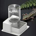 Automatic Reptile Water Dish Reusable Container Creative Feeder Station Ornament Drinking Tool for Snakes Tortoise Geckos