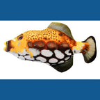 Electric USB Floppy Fish Cat Toy — Moving Dancing Catnip Simulation Beating Fish for Cats