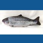 Electric USB Floppy Fish Cat Toy — Moving Dancing Catnip Simulation Beating Fish for Cats