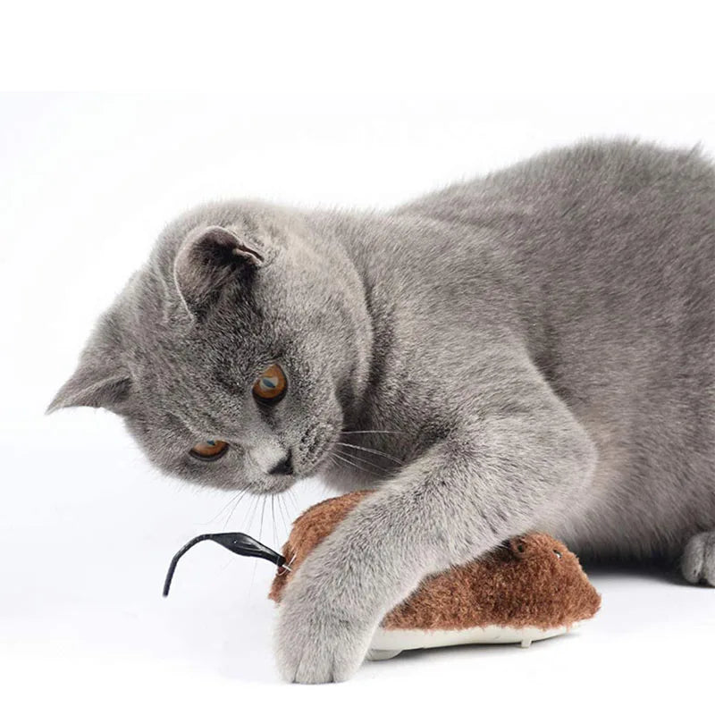 Plush Running Rat Mouse Cat Toy — Interactive Chase Toy for Cats & Dogs