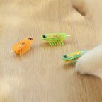 Electric Self-Running Cockroach Cat Toy — Detachable Battery Interactive Hunting Chase Toy for Kittens