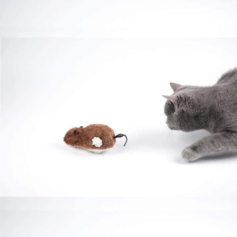 Plush Running Rat Mouse Cat Toy — Interactive Chase Toy for Cats & Dogs