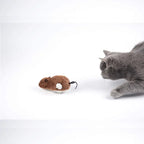 Plush Running Rat Mouse Cat Toy — Interactive Chase Toy for Cats & Dogs