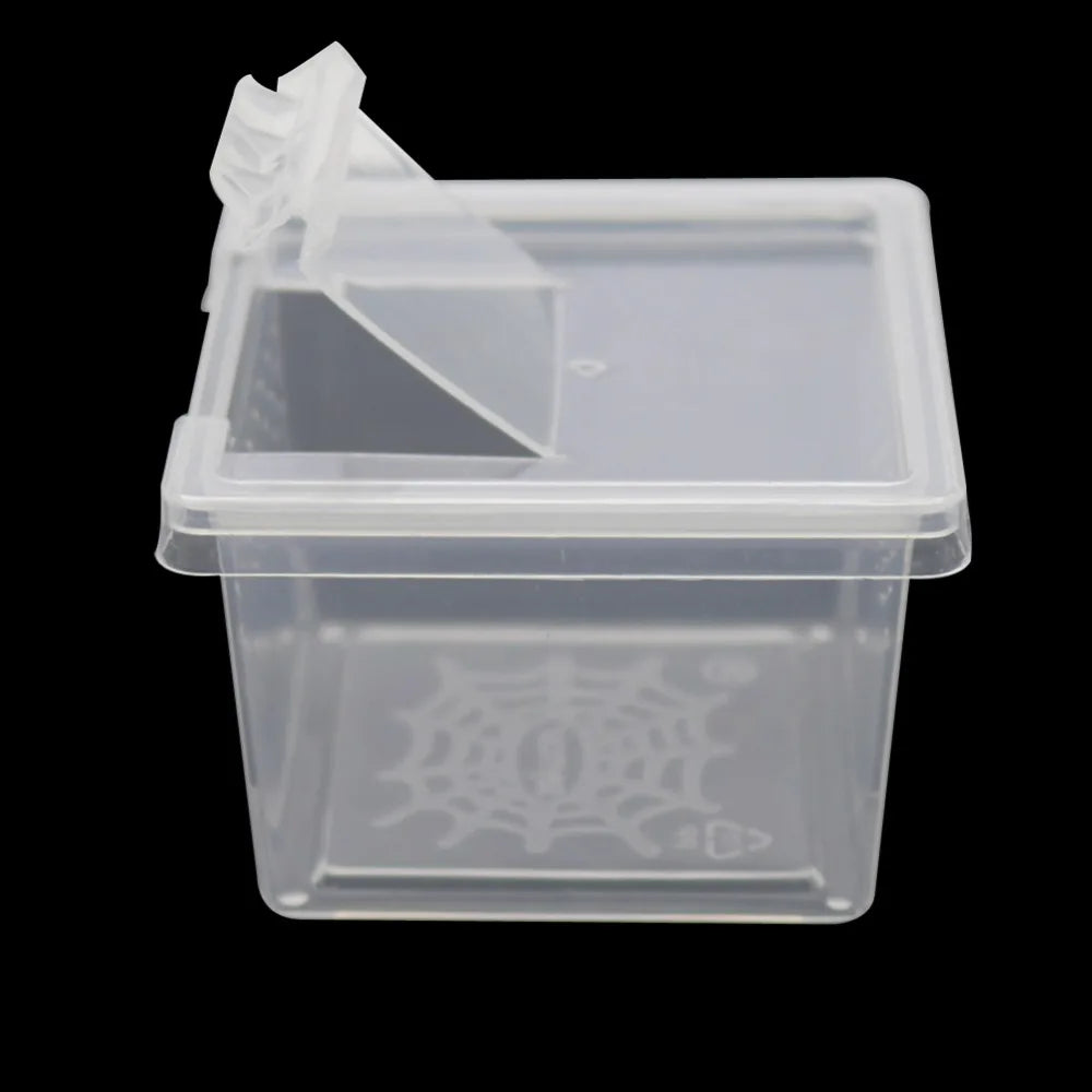 2 Pcs Plastic Reptiles Living Box Transparent Reptile Terrarium Habitat Spider Snake Transport Breeding Feeding Case