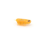 Electric Self-Running Cockroach Cat Toy — Detachable Battery Interactive Hunting Chase Toy for Kittens