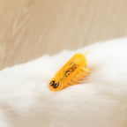 Electric Self-Running Cockroach Cat Toy — Detachable Battery Interactive Hunting Chase Toy for Kittens
