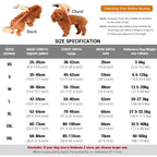 Dog Bathrobe 356g Microfiber Dog Drying Coat Super Absorbent Luxurious Soft Pet Bath Towel Adjustable Warm Dog Bathing Supplies