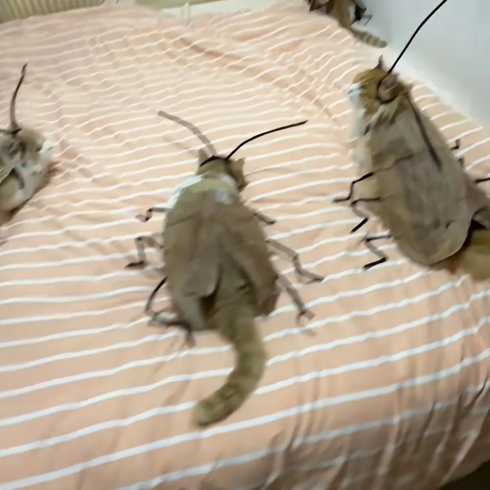 DIY Cat Cockroach Cosplay Dress-Up Kit — Interactive Indoor Play & Costume Accessory for Cats