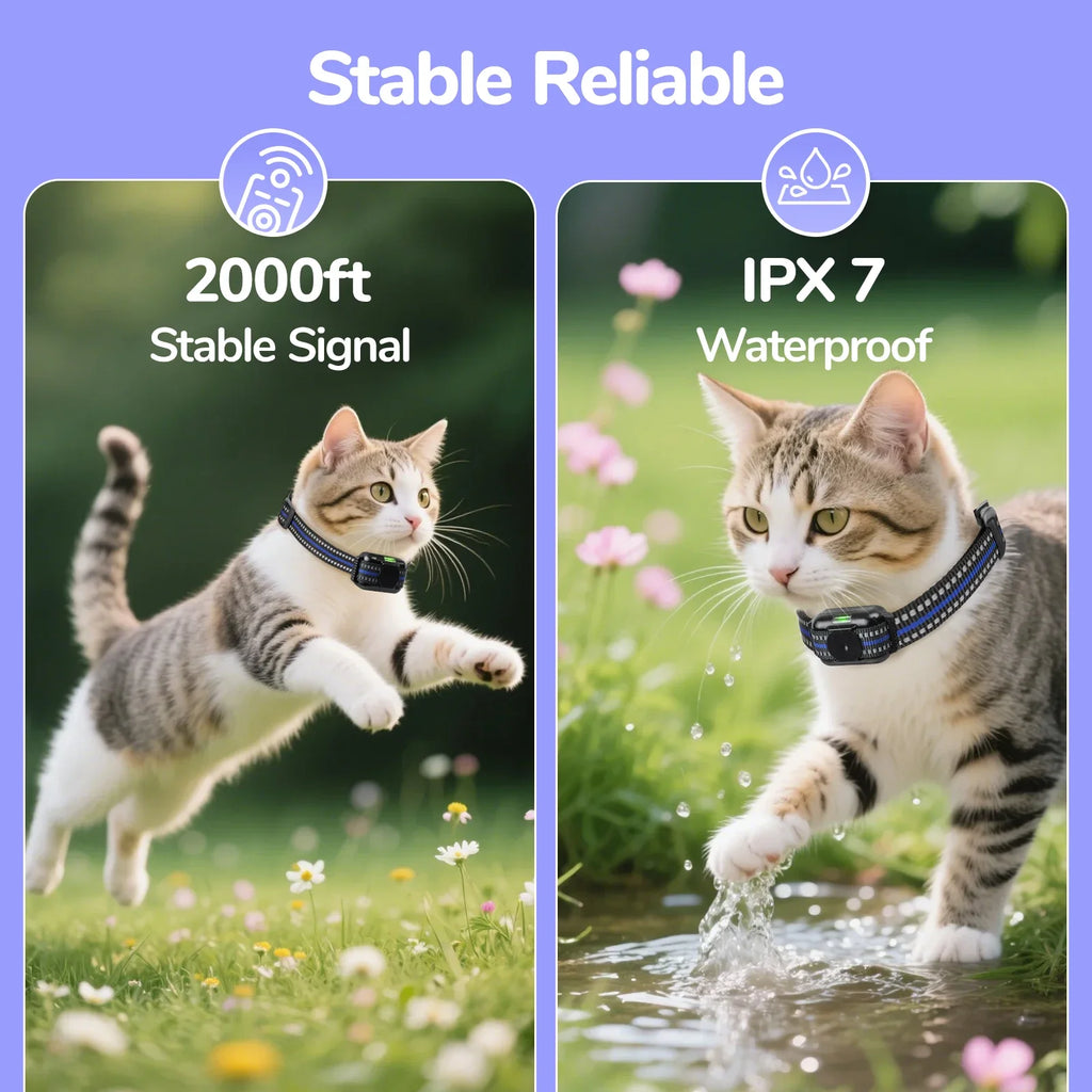 Ultra-Small Lightweight Cat Shock Training Collar — 2000ft Remote Waterproof Rechargeable
