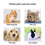 PETCLEAR 500g Pet Dry Shampoo Cleaning Powder Dog Cat Waterless Bath Powder Dog Odor Deodorizer Plant-Based Pet Cleaning Powder
