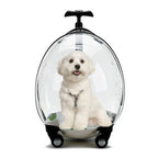 2026 Transparent Pet Luggage Large Capacity Handheld Pet Carrier Bag Portable Travel Cart for Cats Dogs