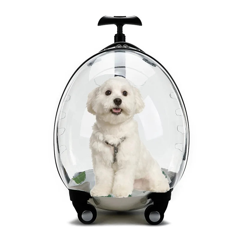 2026 Transparent Pet Luggage Large Capacity Handheld Pet Carrier Bag Portable Travel Cart for Cats Dogs