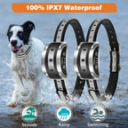No-Bark Training Collar (2-Pack)