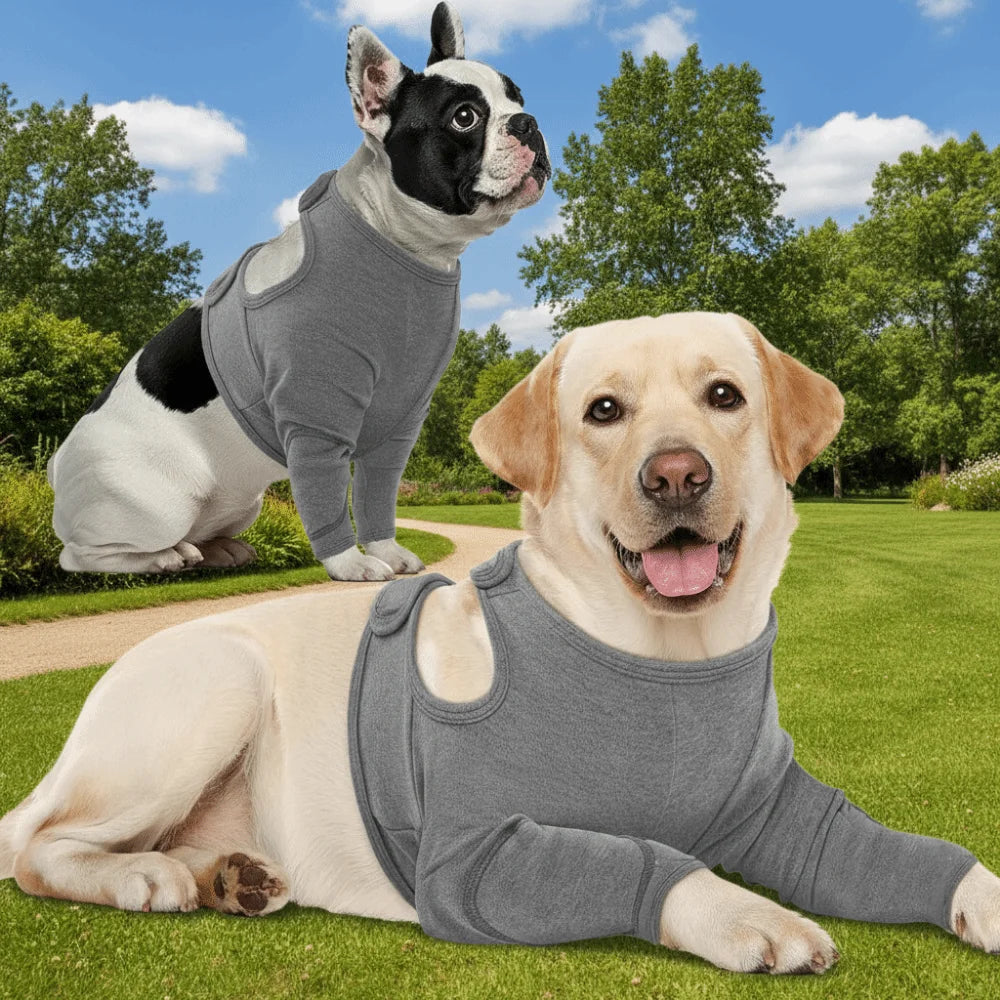 Breathable Dog Leg Sleeve Long Sleeve Professional Anti-lick Sleeve Polyester High Elasticity Dog Knee Pads Pet Protection