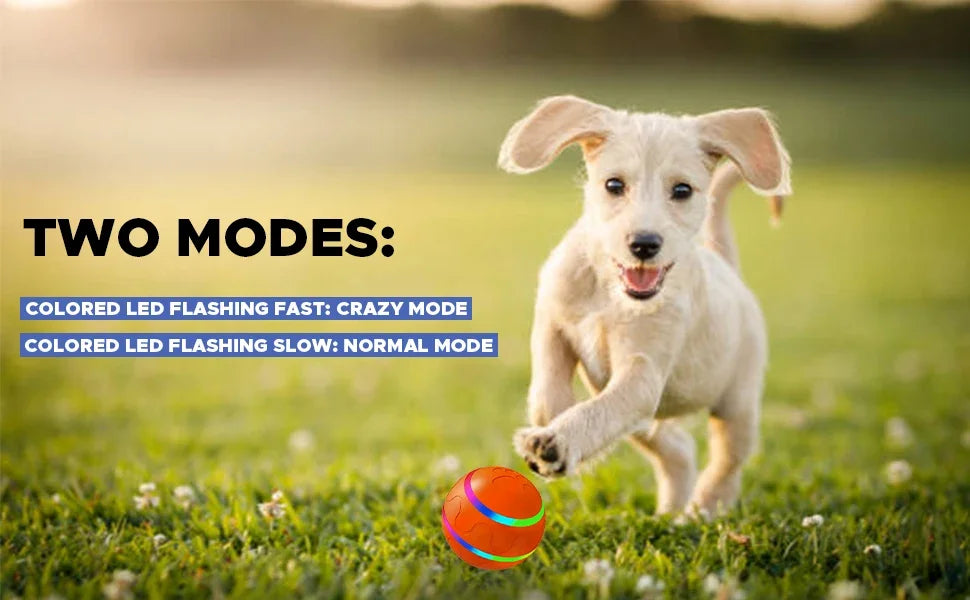Interactive Smart Pet Ball