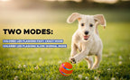 Interactive Smart Pet Ball