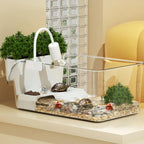 Small Professional Transparent Turtle Terrarium Reptile Breeding Tank Insect Spider Turtle Resting Box Lizards Pet Enclosure