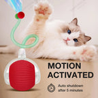 Automatic Interactive Cat Ball Toy (3 Play Modes)