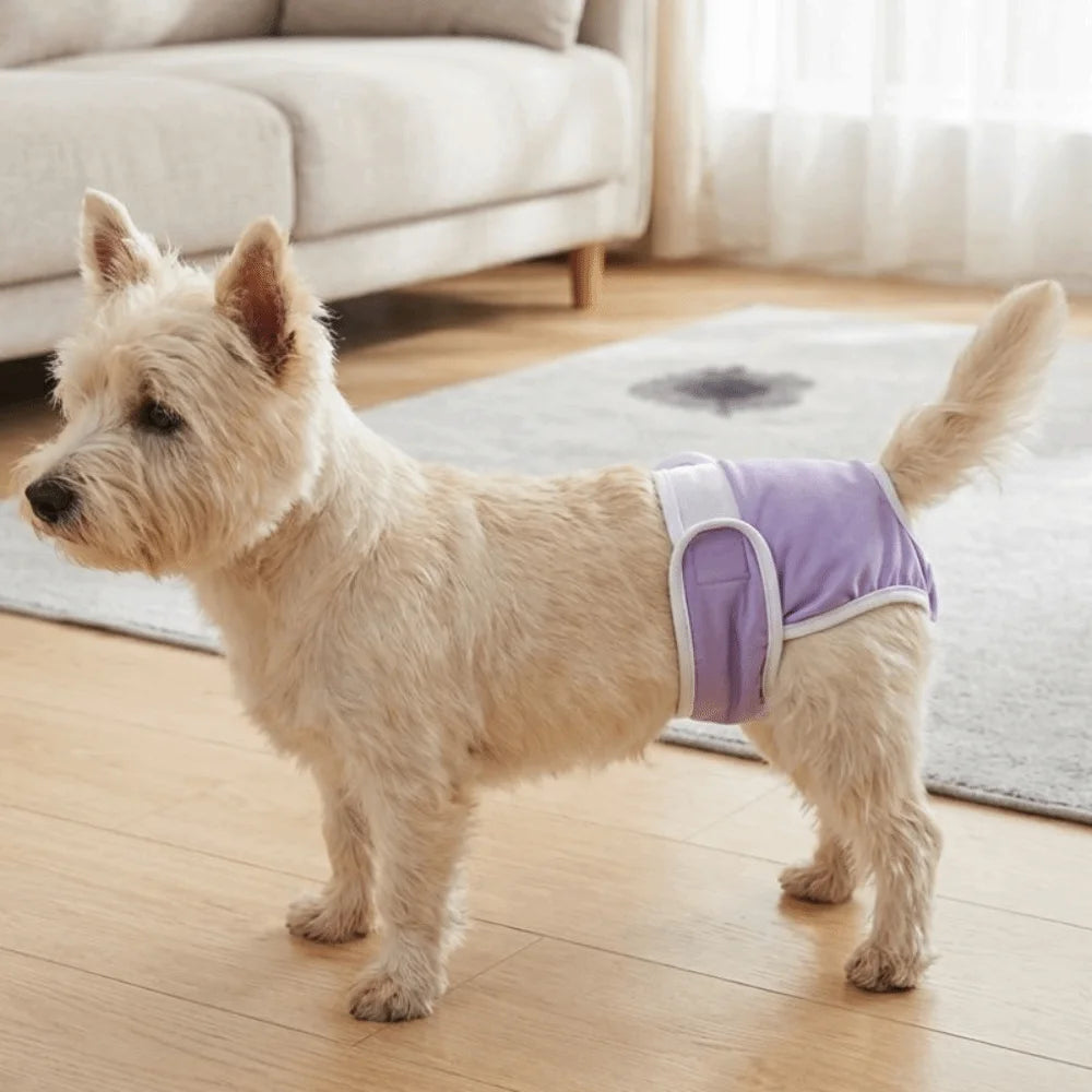 Breathable Dog Physiological Pants Leak-proof Adjustable Dog Menstrual Pants Reusable Highly Absorbent Dog Sanitary Panties