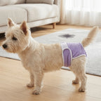 Breathable Dog Physiological Pants Leak-proof Adjustable Dog Menstrual Pants Reusable Highly Absorbent Dog Sanitary Panties