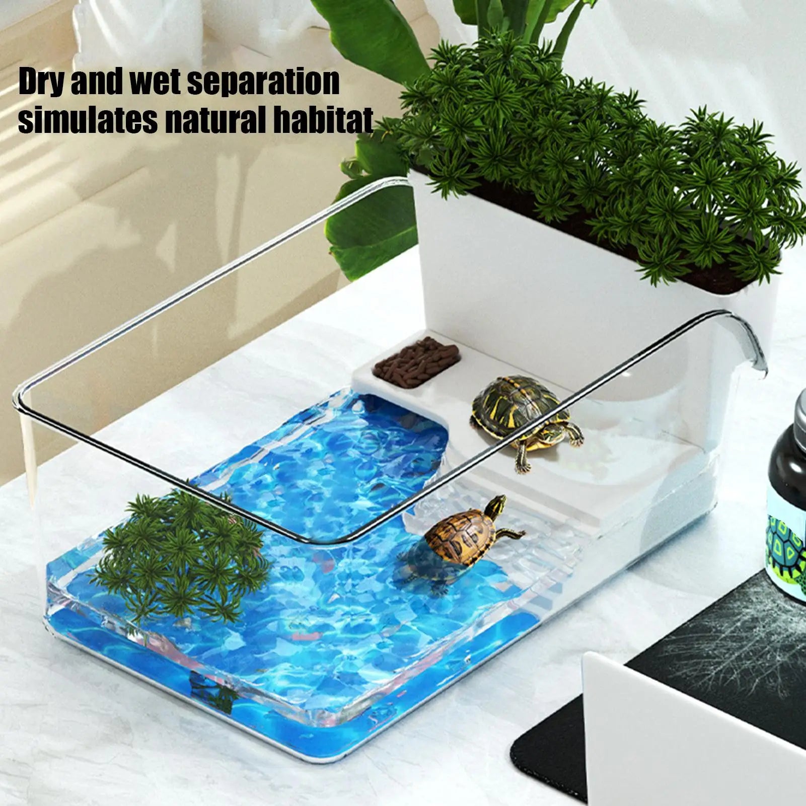 Small Professional Transparent Turtle Terrarium Reptile Breeding Tank Insect Spider Turtle Resting Box Lizards Pet Enclosure
