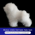 Bichon Grooming Practice Model with Simulation Wig
