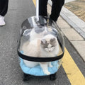 Foldable Pet Stroller Cat Carrier Transparent Lightweight Portable Wheeled Puppy Dog Travel Trolley Compact For Outdoor