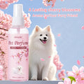Cherry Blossom Dog Perfume Spray for All Breeds - Long Lasting Fragrance Gentle Moisturizing Coat Care 100ml Portable Size