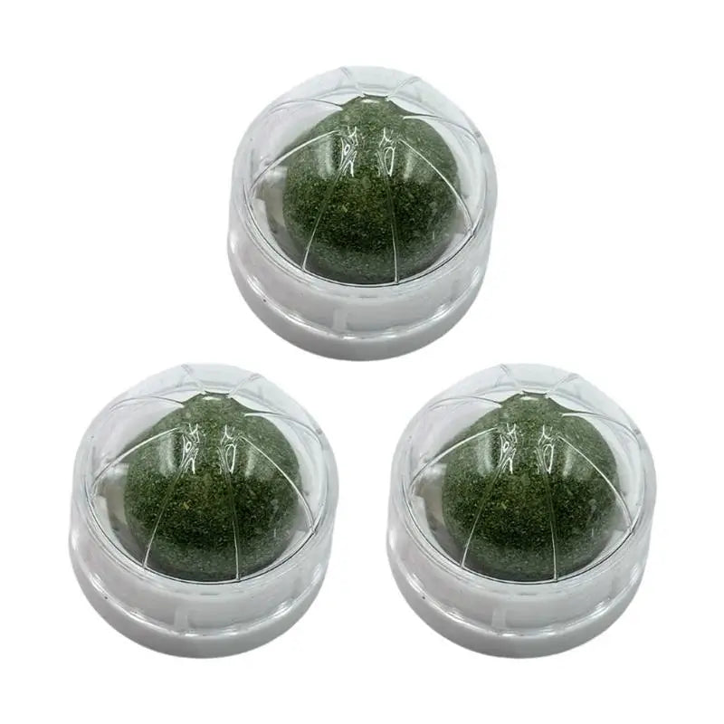 3-Pack Cat Mint Chew Balls — Interactive Teething Toy Set for Kittens & Adult Cats