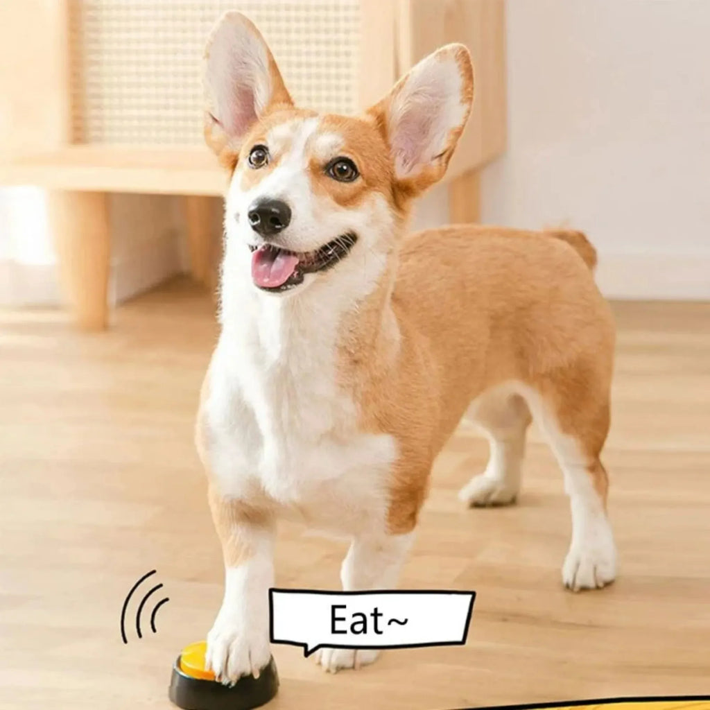Dog Communication Button