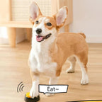 Dog Communication Button