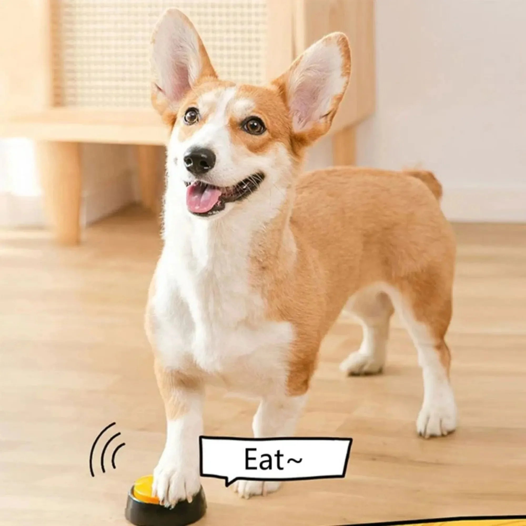 Dog Communication Button