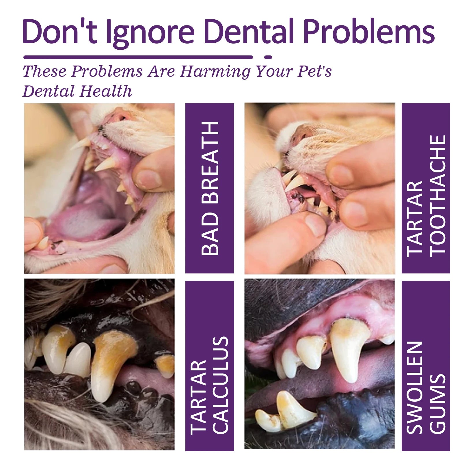 V34 Pet Toothpaste Gentle Plaque Tartar Remover Fresh Breath Gum Health for Cats Dogs Daily Dental Care 60g